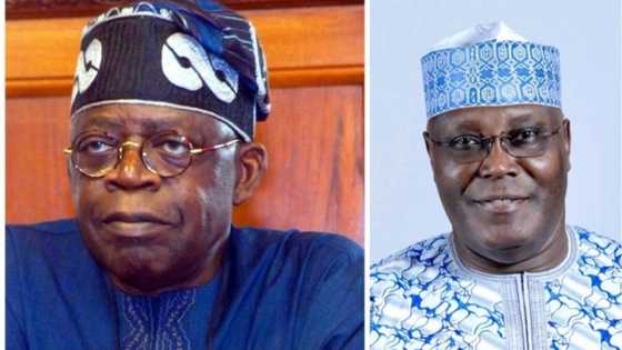 Atiku Yaba Tinubu Ƙafa a Arewa, Ɗaruruwan Ƴan APC Sun Koma PDP Gabanin Zaɓe