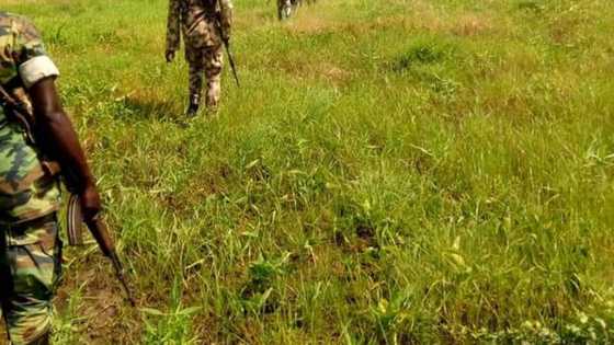 Rubdugu: Sojoji, 'Civilian JTF, maharba da 'Yansakai sun yi wa 'yan Boko Haram kaca-kaca a maboyarsu (Hotuna)