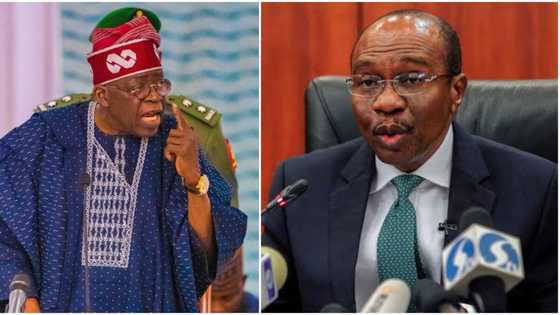 Can Tinubu suspend or sack Emefiele as CBN Governor? Nigerian Lawyer gives insight