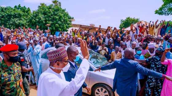 IPAC meets Buhari, says president will be honoured as Nigeria's 'Hero of Democracy'
