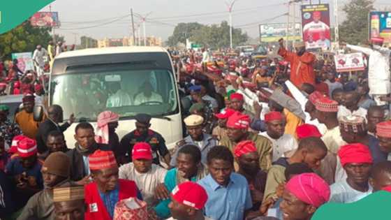 Ana ta shirin yanke hukunci, Kanawa sun yi wa Abba Gida-Gida babbar tarba a jihar Kano