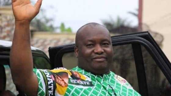 Anambra guber: Ifeanyi Ubah emerges candidate from powerful party