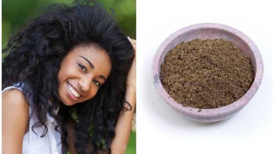 How to use chebe powder for hair growth: Complete guide