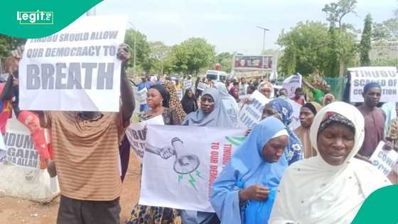 Zanga zanga ta barke a Abuja, maza da mata sun mamaye babbar kotun tarayya