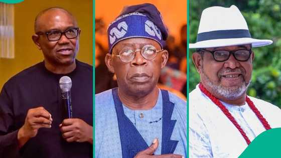 "Peter Obi is becoming petty’: Patrick Doyle slams him over criticism of Tinubu, draws reactions