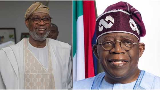 "Why Tinubu assigned solid minerals ministry to me," Dele Alake opens up