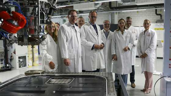 Germany must move quicker on reforms, say experts