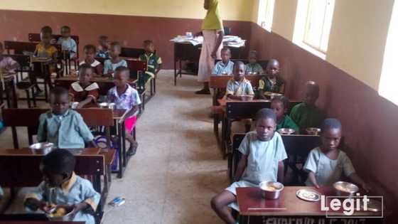 Ghost schools surface in Nigeria, enjoy federal government money