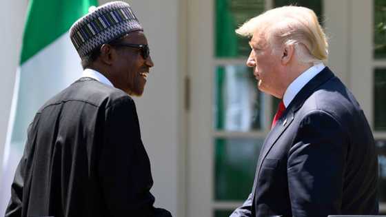 Abinda yasa gwamnatin Buhari ta batawa Trump rai - Tsohon mai bashi shawara a kan tsaro