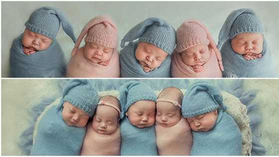 Ukrainian couple welcomes 5 babies at once, photos of beautiful quintuplets melt hearts online