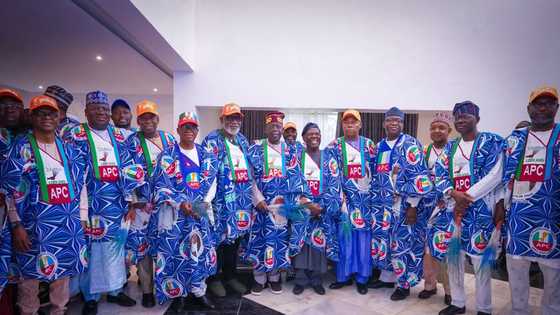 Osun 2022: Prominent APC chieftains who lost in their local govts