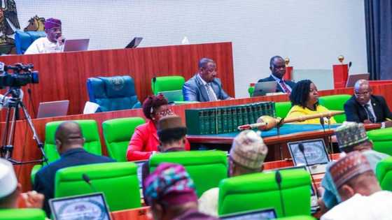 Nigerian doctors to be stopped from relocating abroad? Lawmakers make unbelievable move with new bill