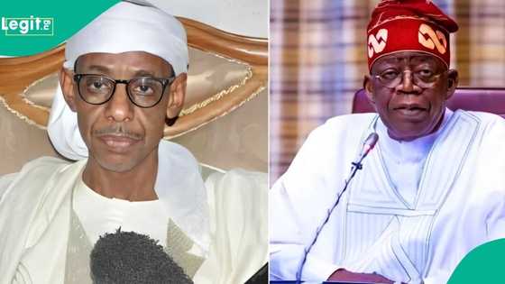 Hakeem Baba Ahmed: Tsohon hadimin Kashim ya fadi matsayar Arewa kan 2027