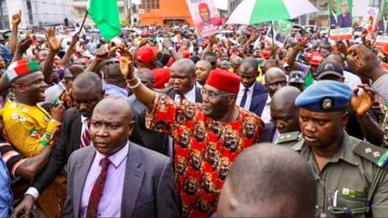 Atiku criticises IPOB's sit-at-home, outlines plans to end Biafra agitation in southeast