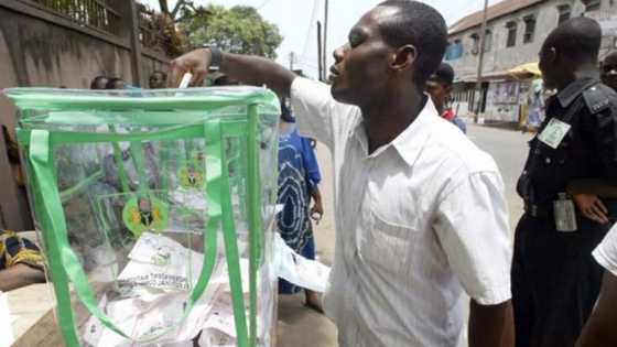 PDP wins 2 Senate, 2 House seats as APC takes 1 Senate seat in Bayelsa