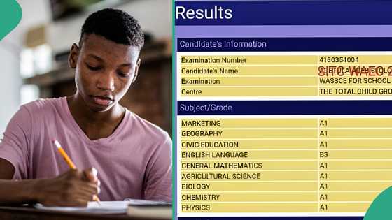 WAEC 2024 result: Boy who wants to study medicine scores eight A1's after getting 328 in UTME