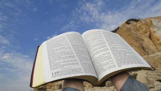 Top most commonly known "errors" in the Bible explained