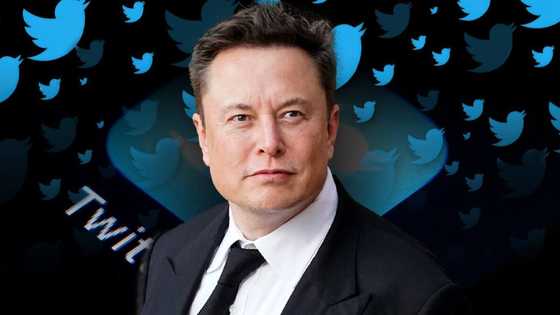 “Adieu to all the birds”: Elon Musk says Twitter bird logo to be replaced soon