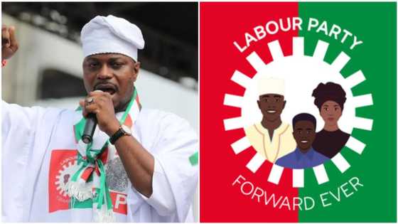 Rhodes Vivour: Fact emerges on certificate forgery case against LP guber candidate in Lagos
