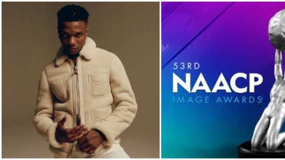 NAACP Image Awards: Singer Wizkid bags 2 awards with hit song Essence