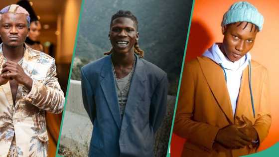 "I didn't see any of ur faves at Brit Fashion show only Tiwa and Mr Eazi": Portable pokes colleagues