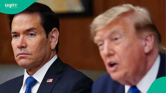 Full list of 9 immigrant categories considered safe from deportation under Trump