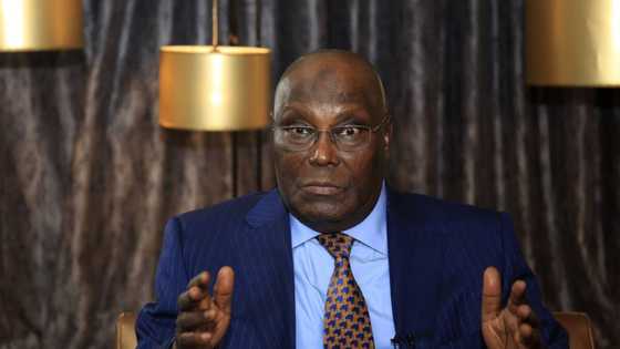 Atiku Abubakar's children: interesting facts about his family