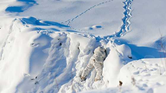 Canada PM Carney announces deal with Australia to boost Arctic radar