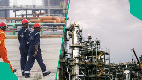 Dangote refinery set for competition as new refineries near completion — PETROAN