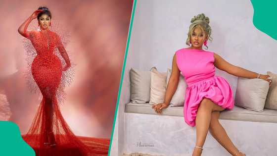 Internet goes gaga as Phyna flaunts new body after surgery, sparks reactions: “Everywhere snatched”