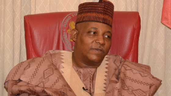 Why I’m speaking less about Boko Haram attacks now - Shettima