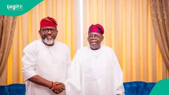 Tinubu helping Nigeria breathe again, lawmaker says after visiting president