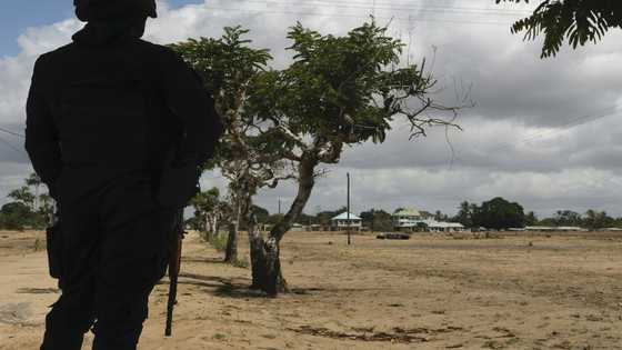 Life returns to Mozambique port city after bloody jihadist rule
