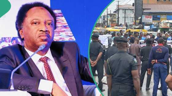 UNILAG protest: Shehu Sani reveals what Nigerian students should do on tuition hike