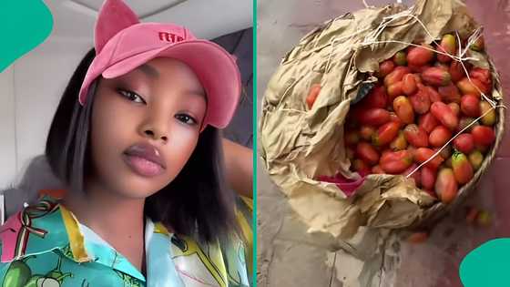 “Too cheap”: Woman buys full basket of tomatoes for ₦5k, mentions market in viral post, people react