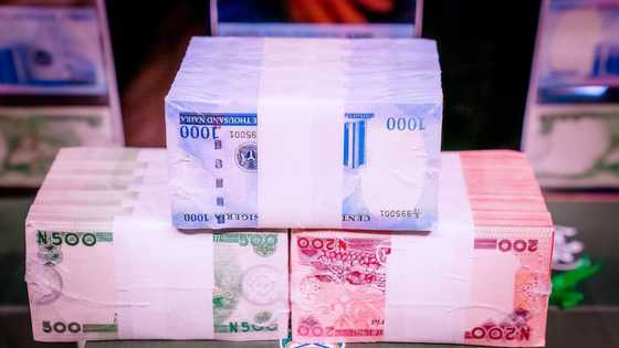 "It's only colour change": Nigerians react as photos of the new naira notes trend