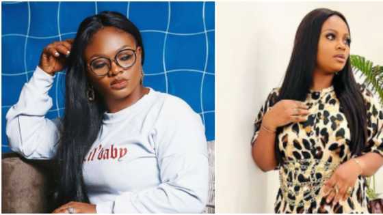 I go through a lot but I don't tell stories: BBNaija's Tega hints fans on social media, Nigerians react