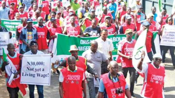 Labour leader finally reveals why N30,000 new minimum wage has not yet been implemented