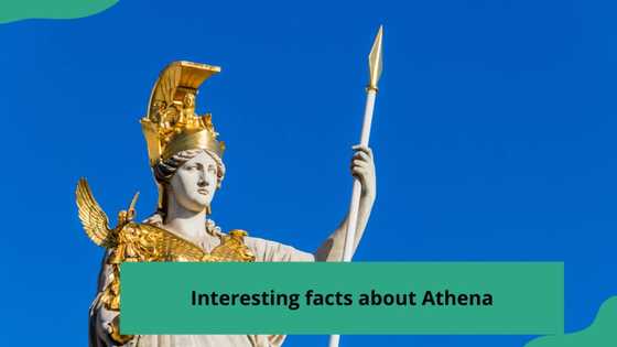 10 interesting facts about Athena for lovers of Greek mythology