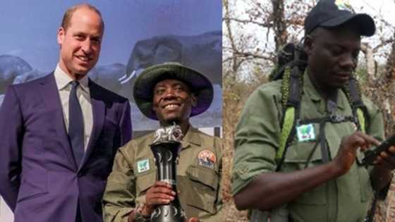 Bayan ceton giwaye a Bauchi, UK ta gwangwaje 'Dan Najeriya da kyautar N16m