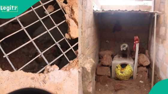 An kai farmaki gidan boka, an kama mutane 3 suna kokarin asiri da yarinya