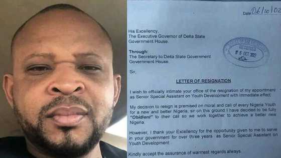 Peter Obi: Okowa’s aide resigns to join ‘Obidient’ movement in Delta state