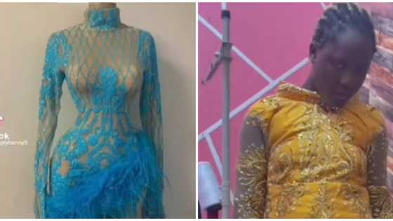 What I ordered: Lady who wanted stylish mini dress ends up with hilarious version