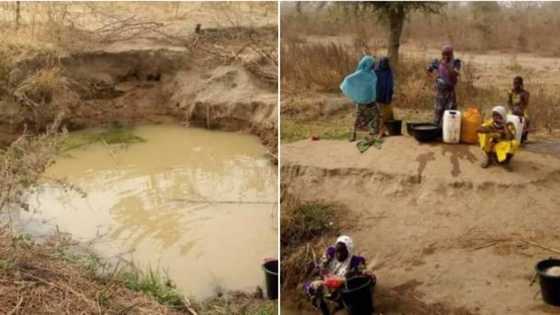 Yankin jihar Adamawa inda jama'a ke shan ruwa daya da dabbobinsu (hotuna)