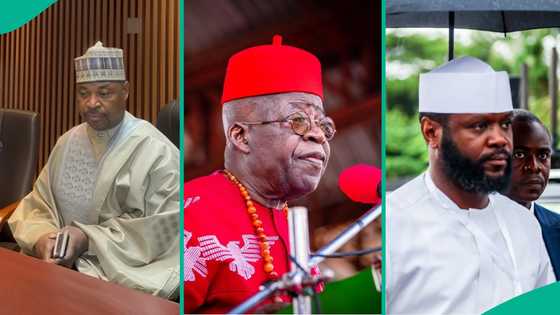 2027 Elections: MC Oluomo endorses Seyi Tinubu for Lagos state governor, "Future of leadership"