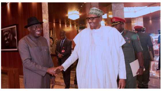 At last, Buhari's minister reveals truth about Jonathan, 2015 presidential election
