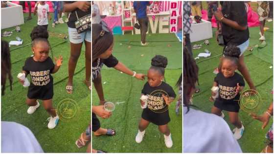 Where did she learn it from? Little girl shows off zazu virus dance moves in video, adults gather around her