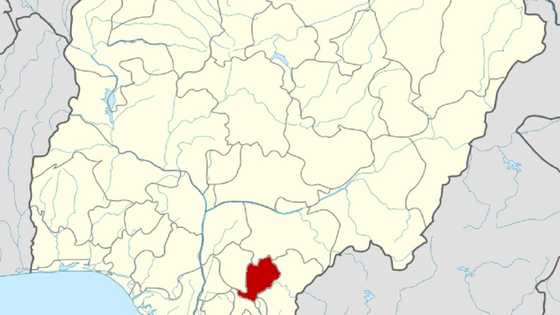 Tashin hankali: Yadda direban mota ya cizge wa jami’in tsaro ɗan yatsa da haƙora sannan ya haɗiye yatsan