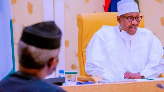 Shugaba Buhari ya faɗi matakin da gwamnatinsa zata ɗauka kan duk ɗan takarar da yaƙi yin murabus