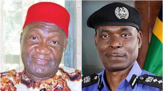 Ohanaeze writes IGP, protests sighting herdsmen with AK47